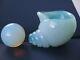 Archimede Seguso Murano Art Glass Opalescent Conch Shell And Pearl