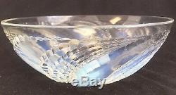 Beautiful opalescent R. LALIQUE bowl Fleurons NR 2 1935 coupe