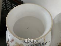 C1880 Pair 15 Opaline French Glass Hand Paint Vases Baccarat Floral Butterfly