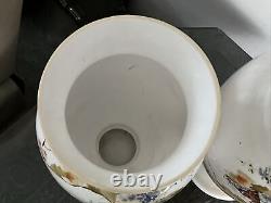 C1880 Pair 15 Opaline French Glass Hand Paint Vases Baccarat Floral Butterfly