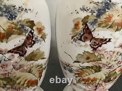 C1880 Pair 15 Opaline French Glass Hand Paint Vases Baccarat Floral Butterfly