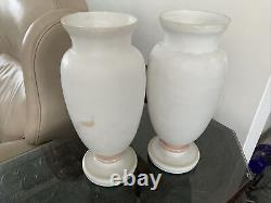 C1880 Pair 15 Opaline French Glass Hand Paint Vases Baccarat Floral Butterfly