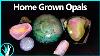 Can You Grow An Opal