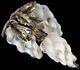 Exquisite Victorian Opaline Art Glass Grape Vine Leaf Sterling Silver Brooch