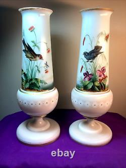 Lot Pair Set ANTIQUE VICTORIAN BRISTOL VASE 12 HAND PAINTED BIRDS OPALINE GLASS