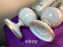 Lot Pair Set ANTIQUE VICTORIAN BRISTOL VASE 12 HAND PAINTED BIRDS OPALINE GLASS