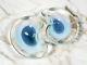 Pair Mid Century Murano Opaline Art Glass Bull's Eye Bowls Blue Opaline Sommerso