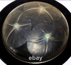 R Lalique Volubilis Bowl Yellow Opalescent Wheel Cut Signature 383