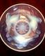 Rare Original Art Deco 1930's Ezan France Opaline Glass Nesting Birds Bowl 10