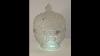 Rare Westmoreland Frosted Eacg Glass Star Panel Covered Candy Jar Hand Painted Floral