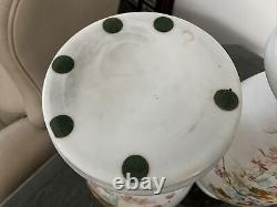 C1880 Paire de 15 Vases en Verre Opaline Français Peints à la Main Baccarat Floral Papillon