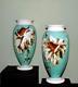 Paire Antique Décorative Vases En Verre Opaline Peint À La Main Robins Qualité 28 Cm