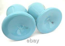 Paire de vases en verre d'art opaline bleu peints à la main de Bohême Tchèque
