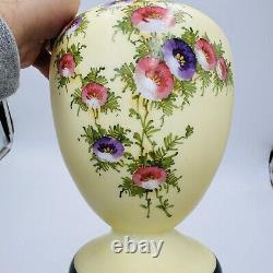 Pichet en verre émaillé opaline Bohémien HARRACH de l'époque victorienne XIXème siècle