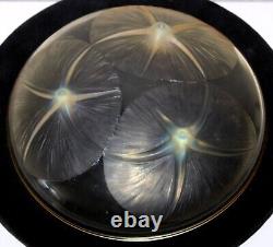 R Lalique Bol Volubilis Jaune Opalescent Taillé au Roue Signature 383