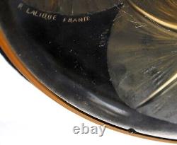 R Lalique Bol Volubilis Jaune Opalescent Taillé au Roue Signature 383
