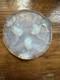 Trivet En Verre Opalescent Verlys France Art Déco Poisson