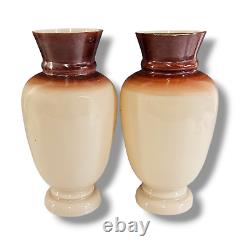 Vase en verre opaline français antique beige brun peint à la main avec motif floral - Ensemble de (2)